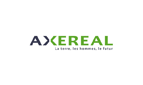 Image logo Axereal